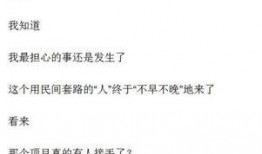 象棋最新爆料软件,揭秘最新象棋软件功能与技巧